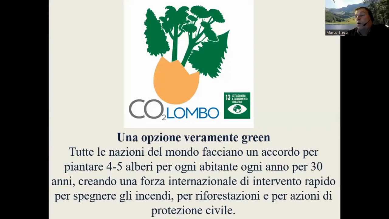Grafica CO₂Lombo con alberi che nascono da un uovo, proposta per riforestazione globale contro il cambiamento climatico